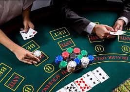 Live-dealer table session records in liga 20000 archive showing hand results and payout details